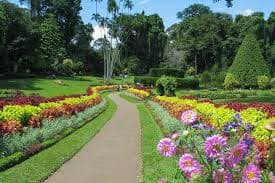 Cultural Triangle Discovery (7 Days) gallery image 3